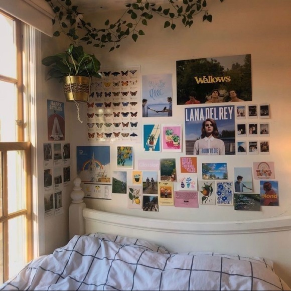 Brandy Melville Other - •LAST CHANCE nwt aesthetic vines•